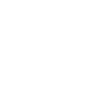 ans-logo-white (1)